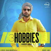 3 Hobbies