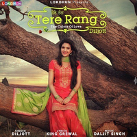 Tere Rang