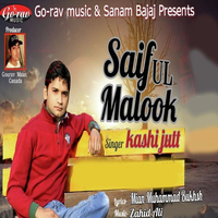 Saiful Malook