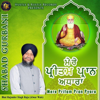Mere Pritam Pran Pyara (Shabad Gurbani)