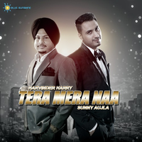 Tera Mera Naa