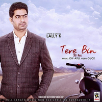 Tere Bin