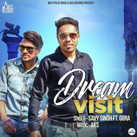 Dream Visit