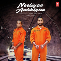Neeliyan Aakhiyan