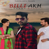 Billi Akh