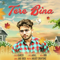 Tere Bina