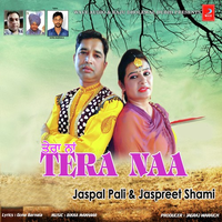 Tera Naa