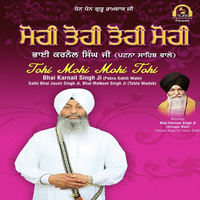 Tohi Mohi Mohi Tohi