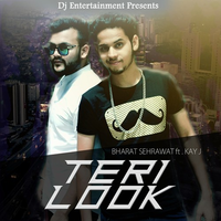 Teri Look