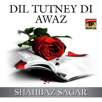Dil Tutney Di Awaz