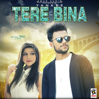 Tere Bina
