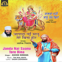 Janda Nai Saanu Tere Bina