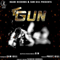 Gun