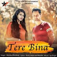 Tere Bina