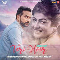Teri Hoor