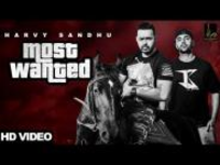 Most Wanted