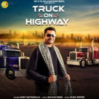 Truck On Highway