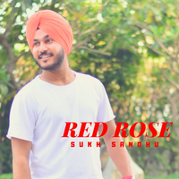 Red Rose