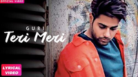 Teri Meri
