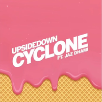 Cyclone
