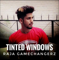 Tinted Windows