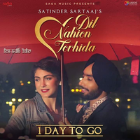 Dil Nahion Torhida
