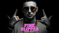 Pink Slipper