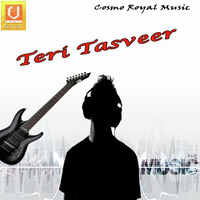 Teri Tasveer