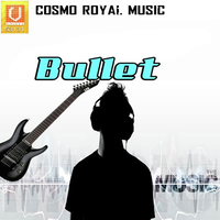 Bullet