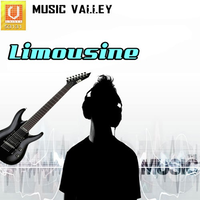 Limousine