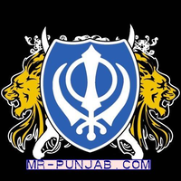 Sher Punjabi Remix