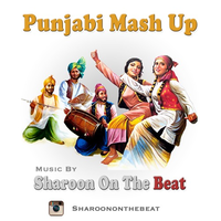 Punjabi Mash Up
