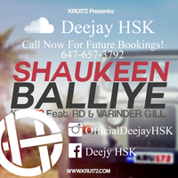 Shaukeen Balliye Remix