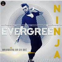 Evergreen Ft Ninja Remix