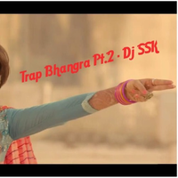 Trap Bhangra 2016 Pt 2