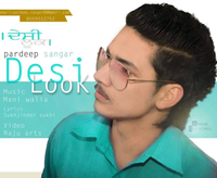 Desi Look