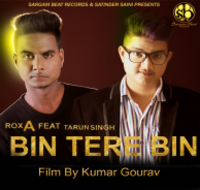 Bin Tere Bin