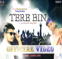 Tere Bin
