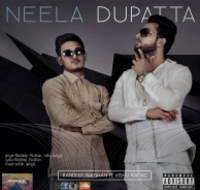 Neela Dupatta