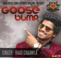 Goose Bump