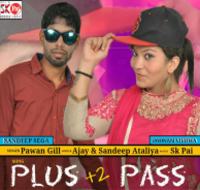 Plus 2 Pass