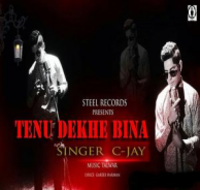 Tenu Dekhe Bina