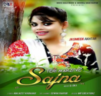 Teri Marzi Ve Sajna