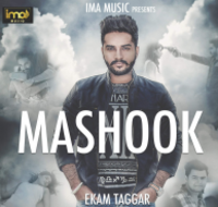Mashook