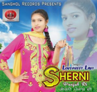 Sherni Punjab Di