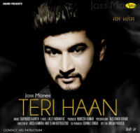 Teri Haan