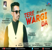 Tere Wargi Da