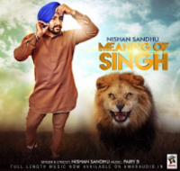 Meaning of Singh