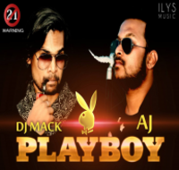 Playboy Remix