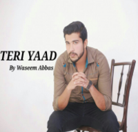 Teri Yaad